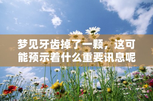 婚配测试，揭秘你与伴侣的默契度