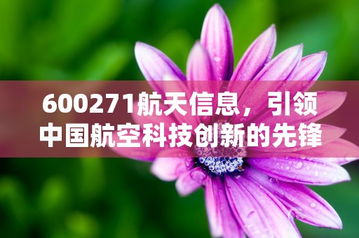 600271航天信息，引领中国航空科技创新的先锋企业