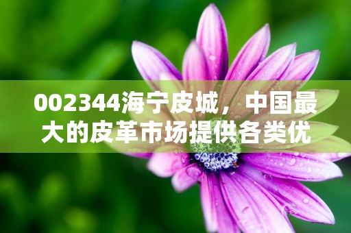 002344海宁皮城，中国最大的皮革市场提供各类优质产品