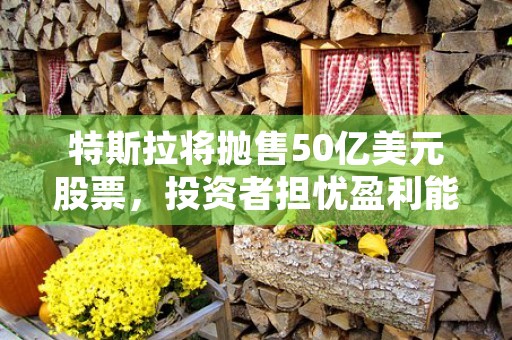 特斯拉将抛售50亿美元股票，投资者担忧盈利能力