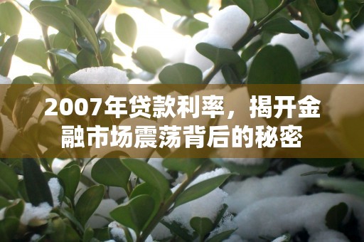 2007年贷款利率，揭开金融市场震荡背后的秘密