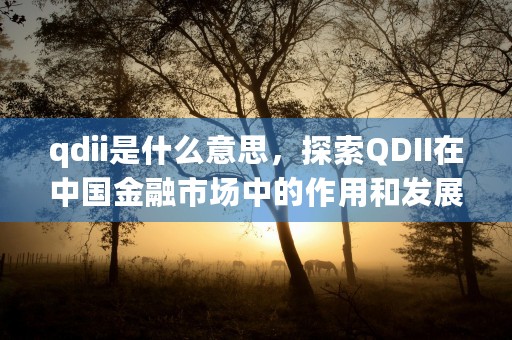 qdii是什么意思，探索QDII在中国金融市场中的作用和发展前景