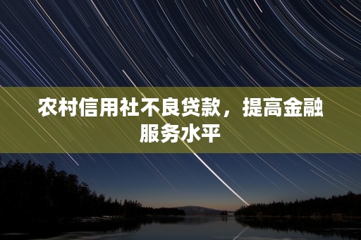 农村信用社不良贷款，提高金融服务水平