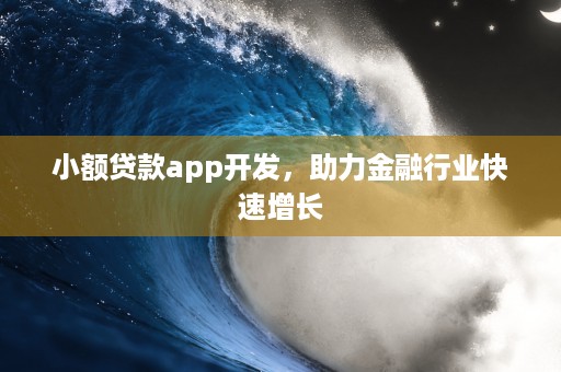 小额贷款app开发，助力金融行业快速增长