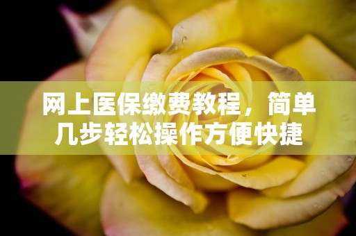 网上医保缴费教程，简单几步轻松操作方便快捷