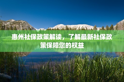 惠州社保政策解读，了解最新社保政策保障您的权益