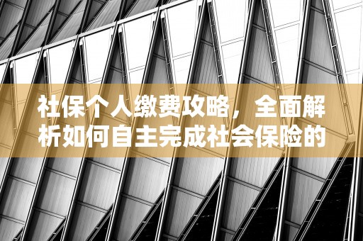 社保个人缴费攻略，全面解析如何自主完成社会保险的缴费过程