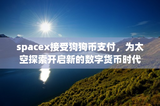 spacex接受狗狗币支付，为太空探索开启新的数字货币时代