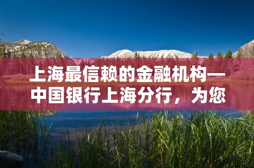 上海最信赖的金融机构—中国银行上海分行，为您提供安全可靠的金融解决方案