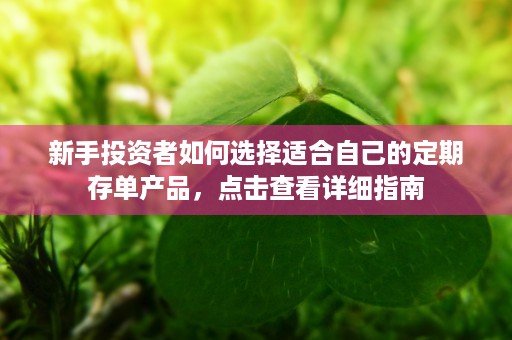 新手投资者如何选择适合自己的定期存单产品，点击查看详细指南