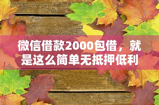 微信借款2000包借，就是这么简单无抵押低利息闪电放款