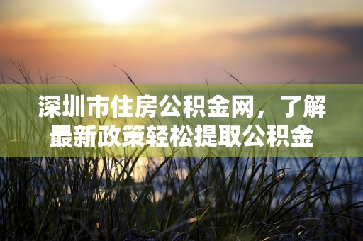 深圳市住房公积金网，了解最新政策轻松提取公积金