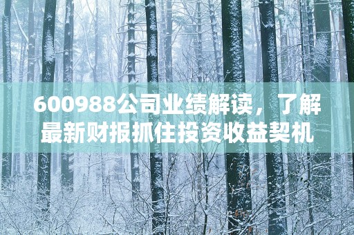 600988公司业绩解读，了解最新财报抓住投资收益契机