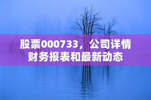 股票000733，公司详情财务报表和最新动态