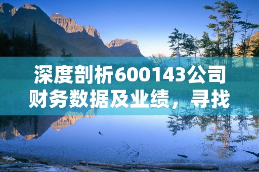 深度剖析600143公司财务数据及业绩，寻找最佳投资机会