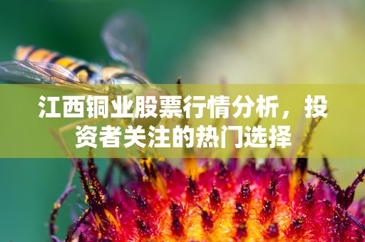 江西铜业股票行情分析，投资者关注的热门选择