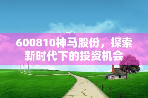 600810神马股份，探索新时代下的投资机会