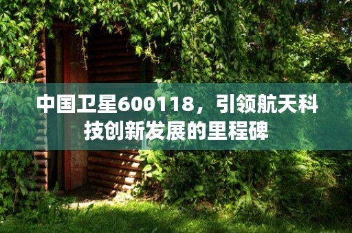 中国卫星600118，引领航天科技创新发展的里程碑