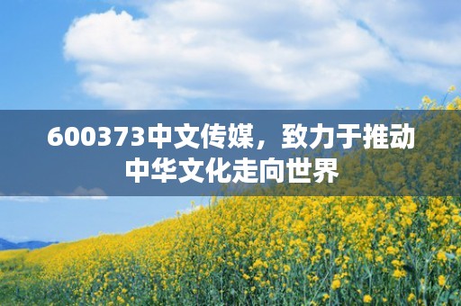 600373中文传媒，致力于推动中华文化走向世界