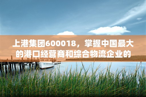 上港集团600018，掌握中国最大的港口经营商和综合物流企业的最新动态