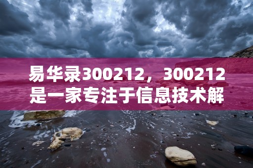 易华录300212，300212是一家专注于信息技术解决方案的企业以下是两个SEO标题