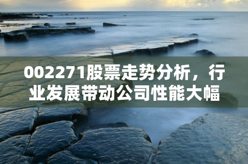 002271股票走势分析，行业发展带动公司性能大幅提升