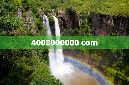 4008000000 com