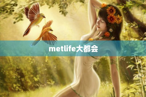 metlife大都会