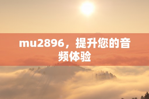 mu2896，提升您的音频体验