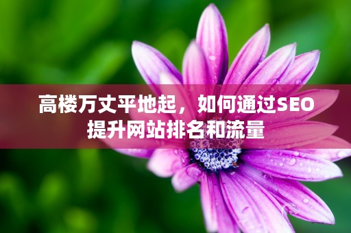 高楼万丈平地起，如何通过SEO提升网站排名和流量