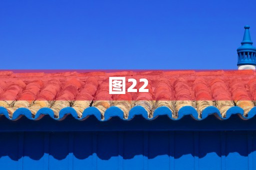 图22