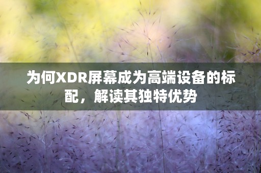 为何XDR屏幕成为高端设备的标配，解读其独特优势