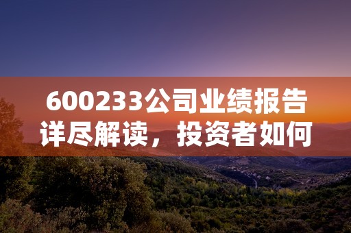 600233公司业绩报告详尽解读，投资者如何把握机会