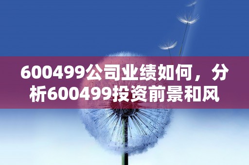 600499公司业绩如何，分析600499投资前景和风险