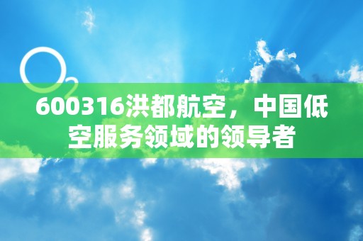 600316洪都航空，中国低空服务领域的领导者