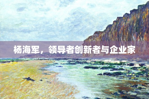 杨海军，领导者创新者与企业家