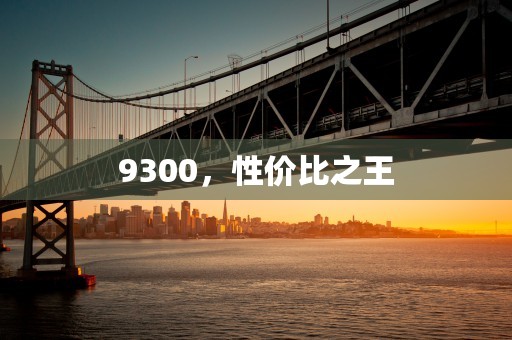 9300，性价比之王