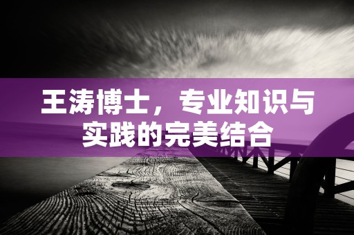 王涛博士，专业知识与实践的完美结合