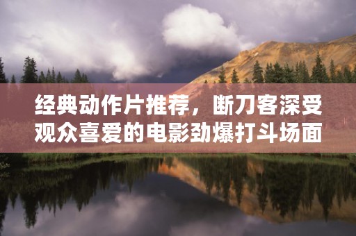 经典动作片推荐，断刀客深受观众喜爱的电影劲爆打斗场面让人目不暇接