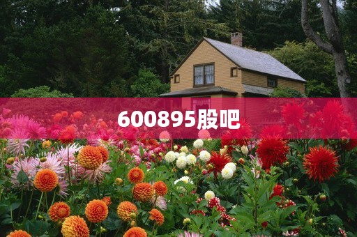 600895股吧