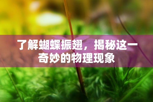 了解蝴蝶振翅，揭秘这一奇妙的物理现象