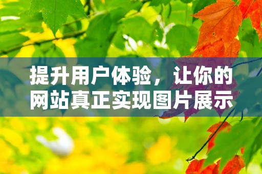 提升用户体验，让你的网站真正实现图片展示功能