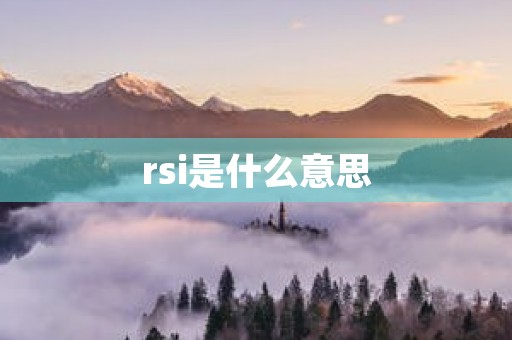 rsi是什么意思