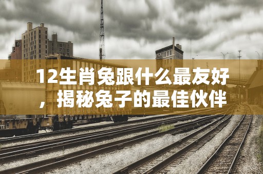 双鱼座今日运势2023年