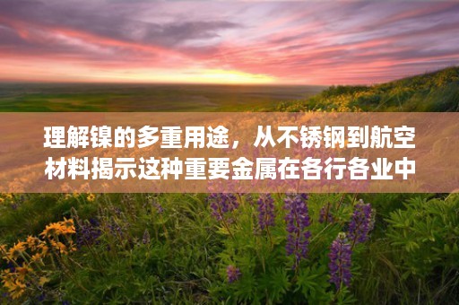 理解镍的多重用途，从不锈钢到航空材料揭示这种重要金属在各行各业中的重要性