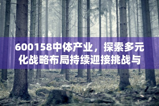 600158中体产业，探索多元化战略布局持续迎接挑战与机遇