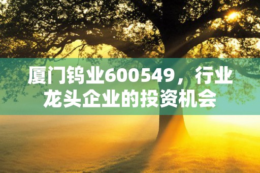 厦门钨业600549，行业龙头企业的投资机会