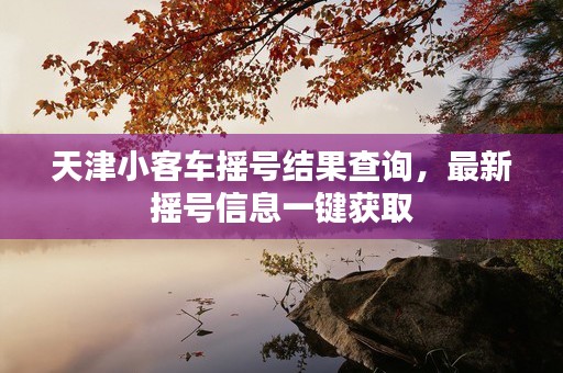 天津小客车摇号结果查询，最新摇号信息一键获取