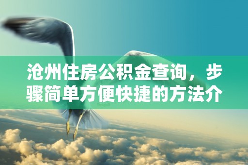 沧州住房公积金查询，步骤简单方便快捷的方法介绍