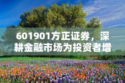 601901方正证券，深耕金融市场为投资者增添价值